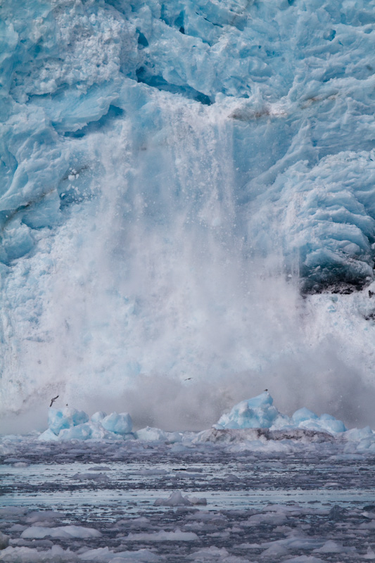 Aialik Glacier Calving Into Ocean